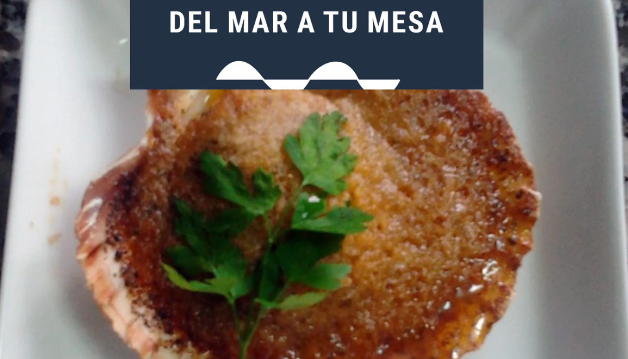 Receta de vieiras a la gallega