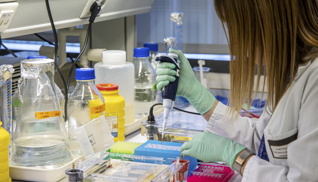 Una investigadora organiza muestras tumorales