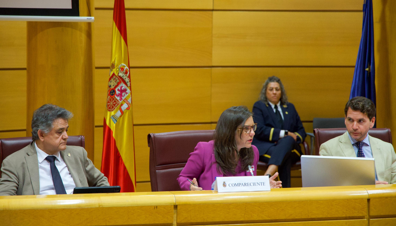Inés Rey, esta tarde, en el Senado