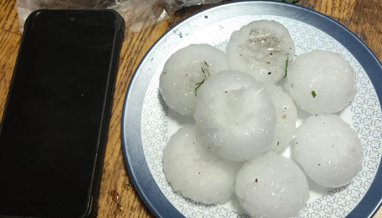 Curtis analiza los daños causados por la granizada del día de San Juan