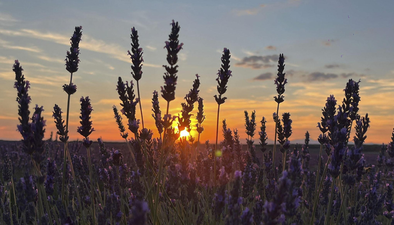 Puesta de sol en Brihuega el pasado 14 de julio