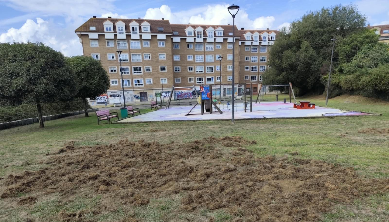 El parque Este de A Barcala, dañado por los jabalíes