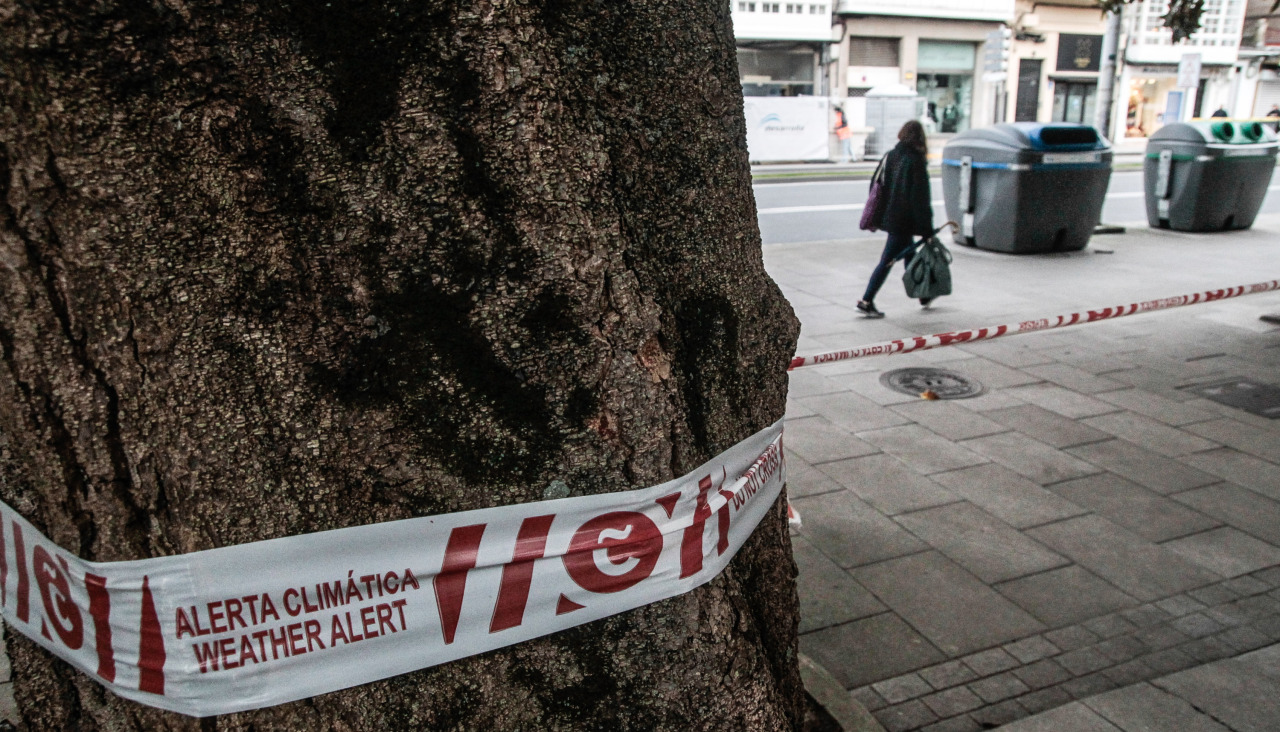 Viento por el temporal Éowyn en A Coruña @ Quintana (1)