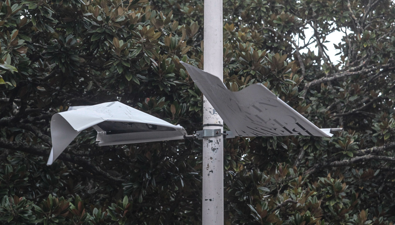 Viento por el temporal Éowyn en A Coruña @ Quintana (5)