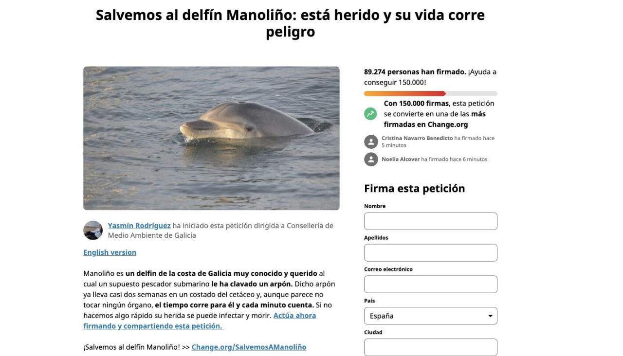 Campau00f1a delfu00edn Manoliu00f1o