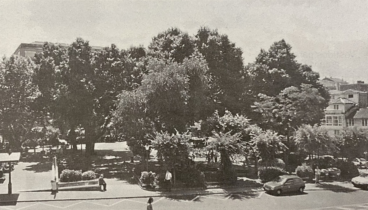 Plaza de Espau00f1a en 1997