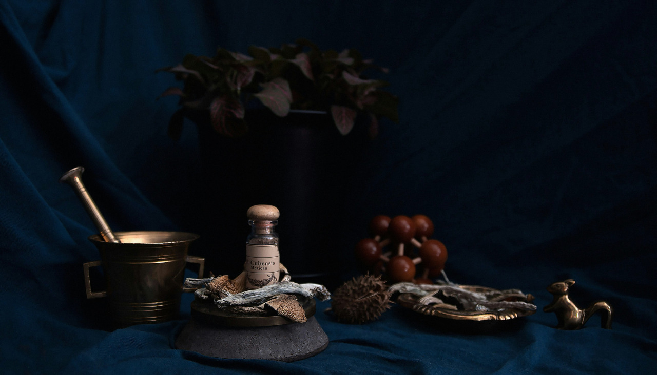 Pretty drugthings ExGirYo6VEg unsplash