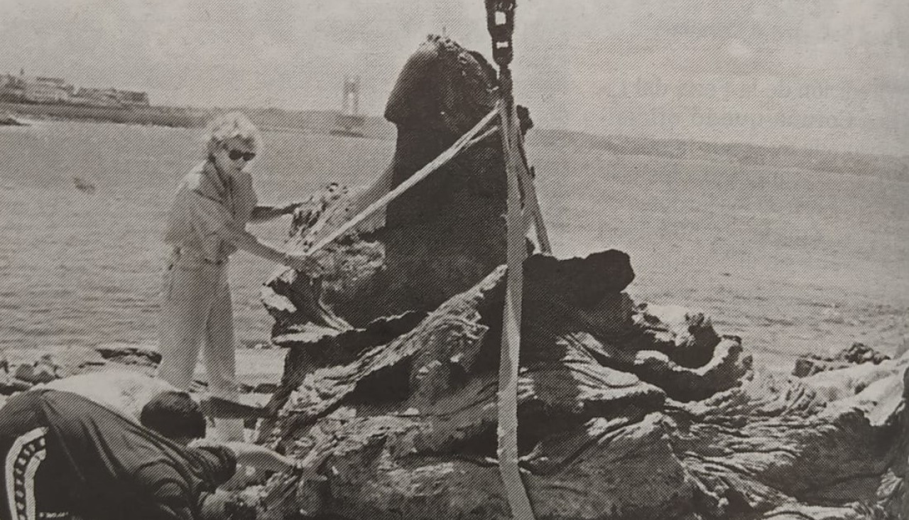 Sirena San Amaro 1998