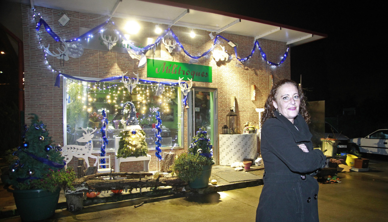 Luces navidad gosende carral (1)