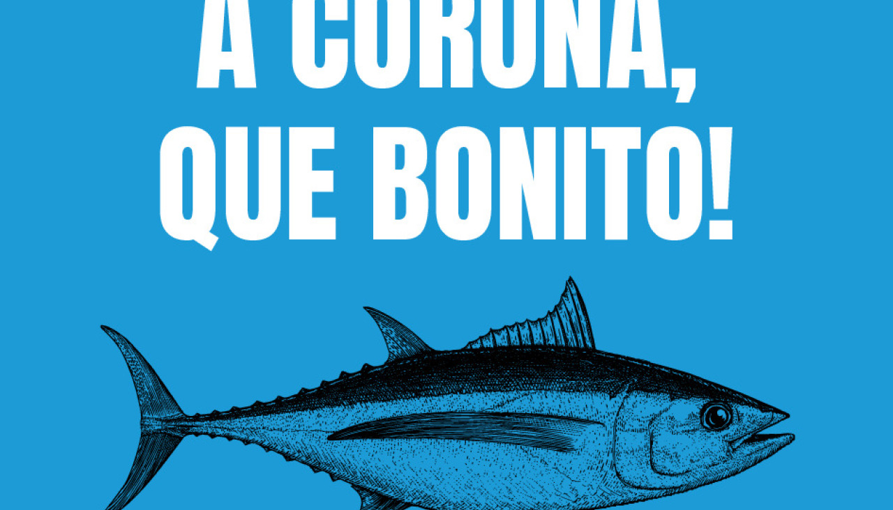 DossierBonito2024WEB