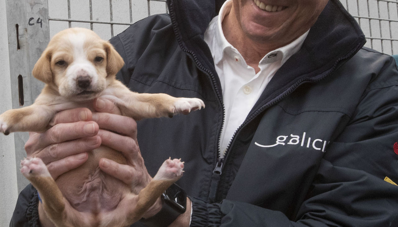 POIO (PONTEVEDRA), 18/04/2024.- El presidente de la Xunta, Alfonso Rueda, durante su visita a las instalaciones del Centro de acollida e protección de animais (CAAN) de la Diputación de Pontevedra, 