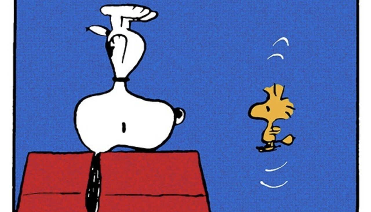 Snoopy (3)