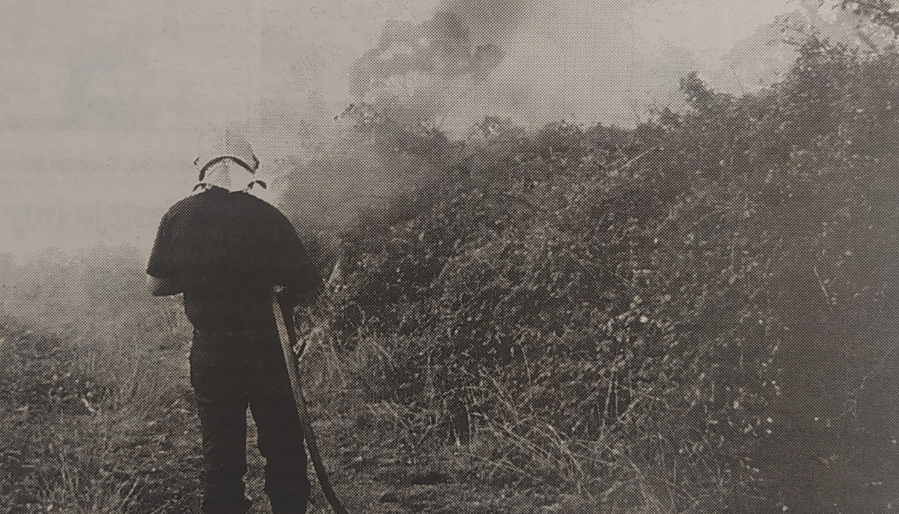 Incendio feu00e1ns 1999