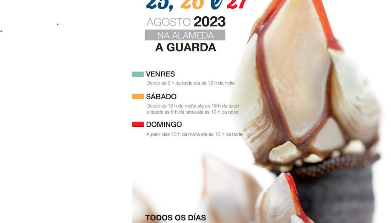 Festa do percebe 