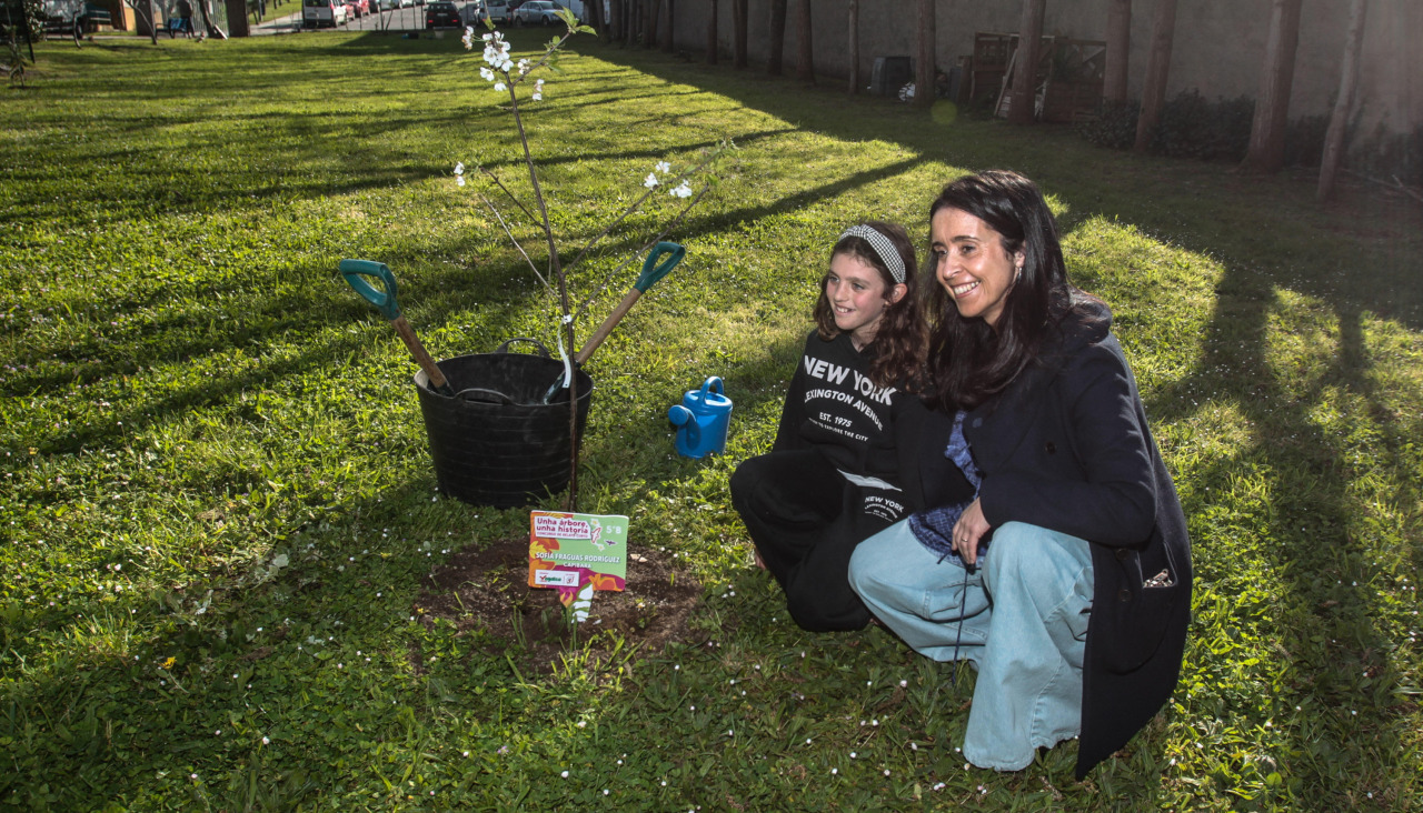 Webvegalsa2 11103015