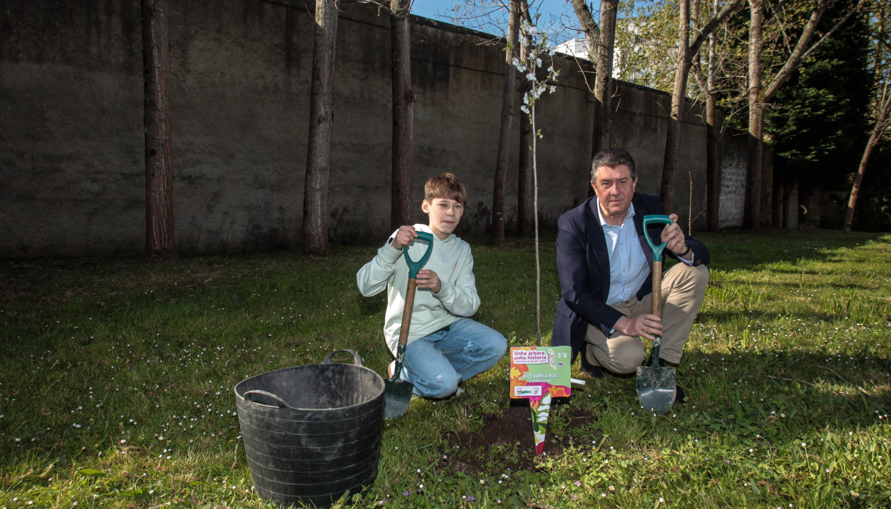 Webvegalsa0 11101803