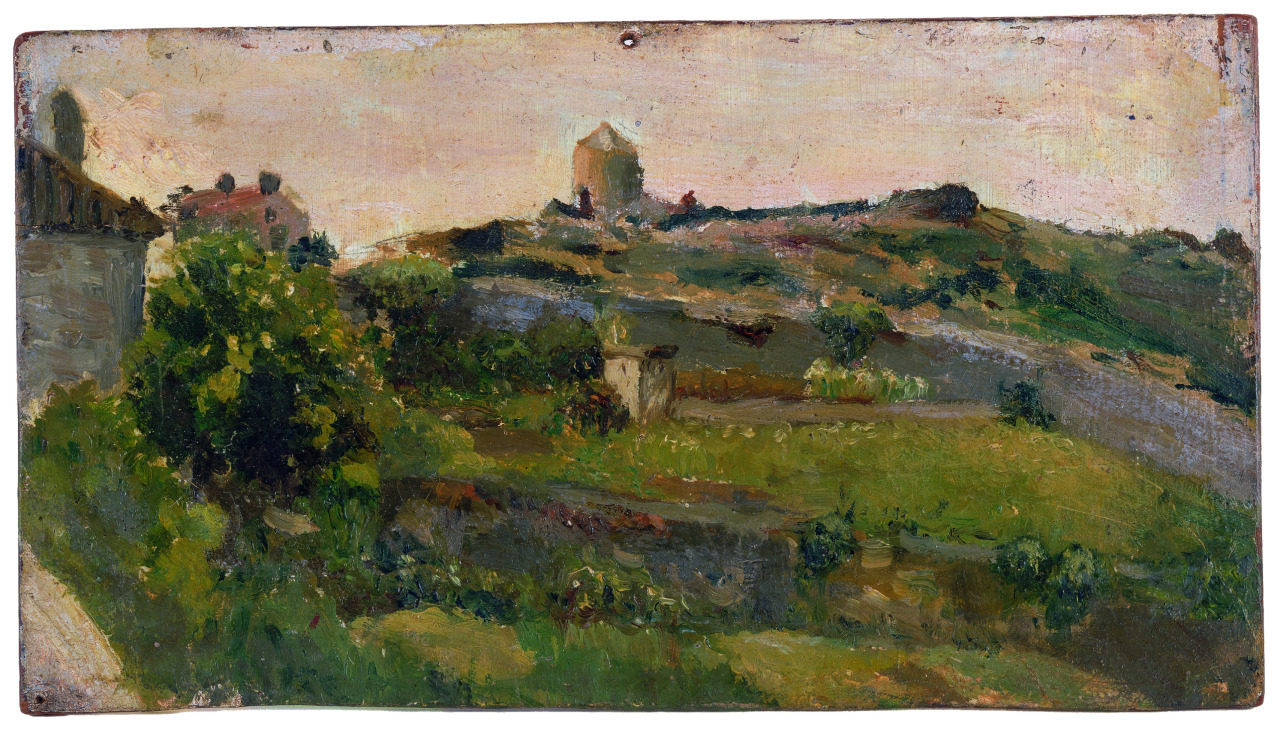 Picasso
