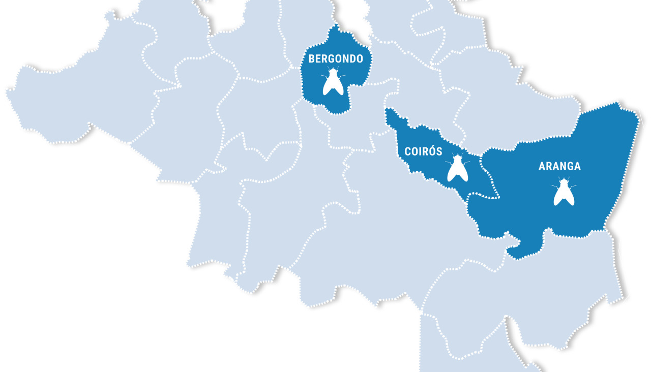 Mapa moscas en galicia