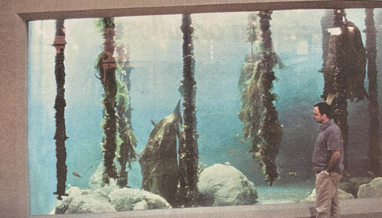 Inauguracion Casa de los Peces Aquarium Finisterrae 1999