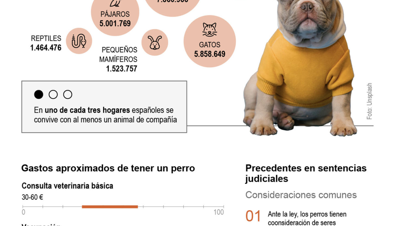 Grafico mascotas