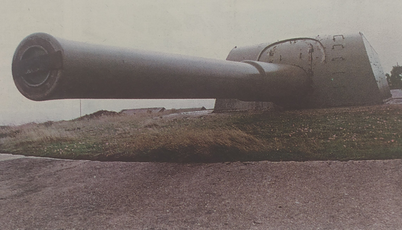 Cau00f1u00f3n de san pedro 1998