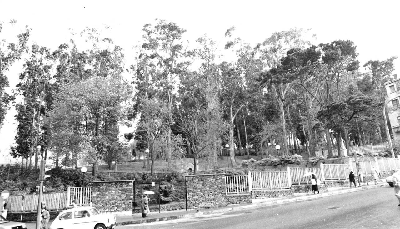 Imagen editada