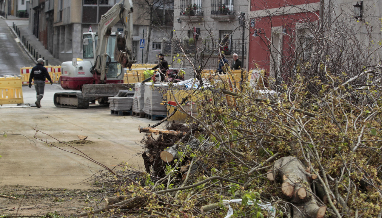 Tala de arboles en Juan Castro @Quintana (3)