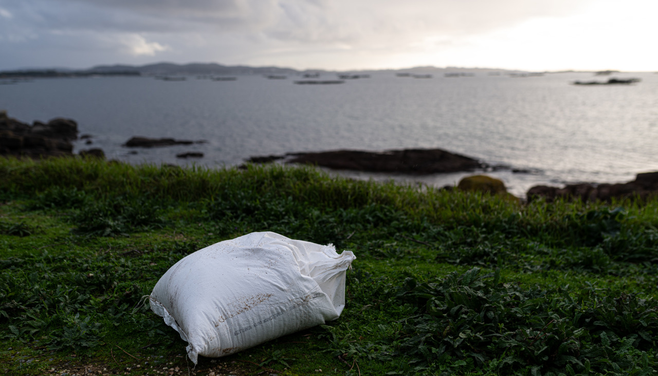 EuropaPress 5668320 agente policia local guarda costas hacen recogida pellets arena illa arousa 20040751