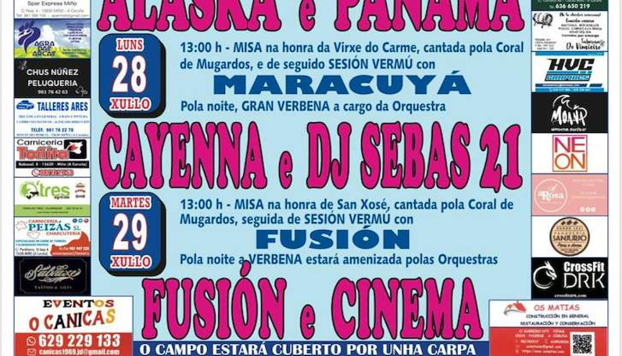 Fiestas de san pataleu00f3n das viu00f1as