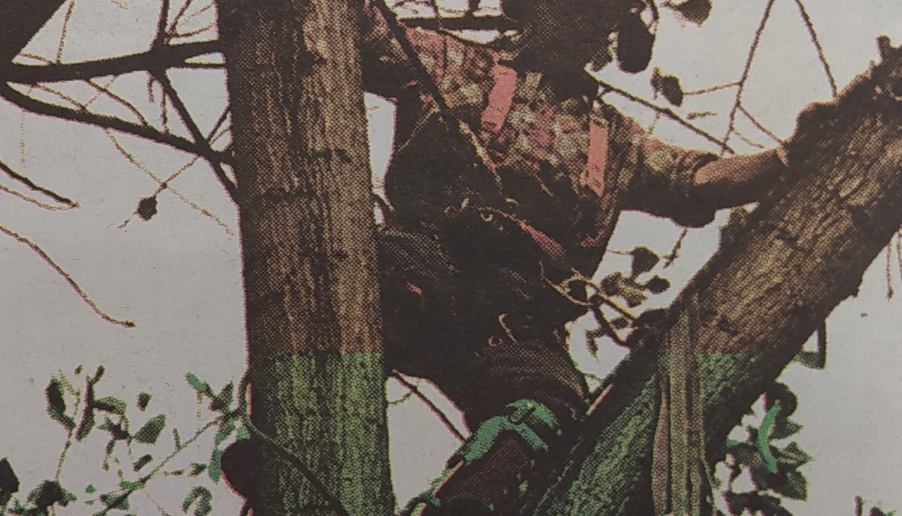 Poda 1998