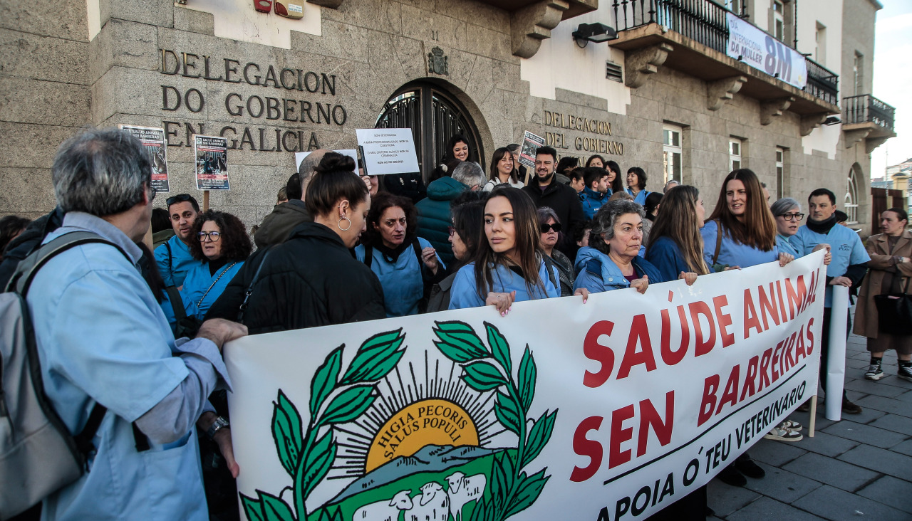 Concentración de los veterinarios de A Coruña @ Quintana (1)
