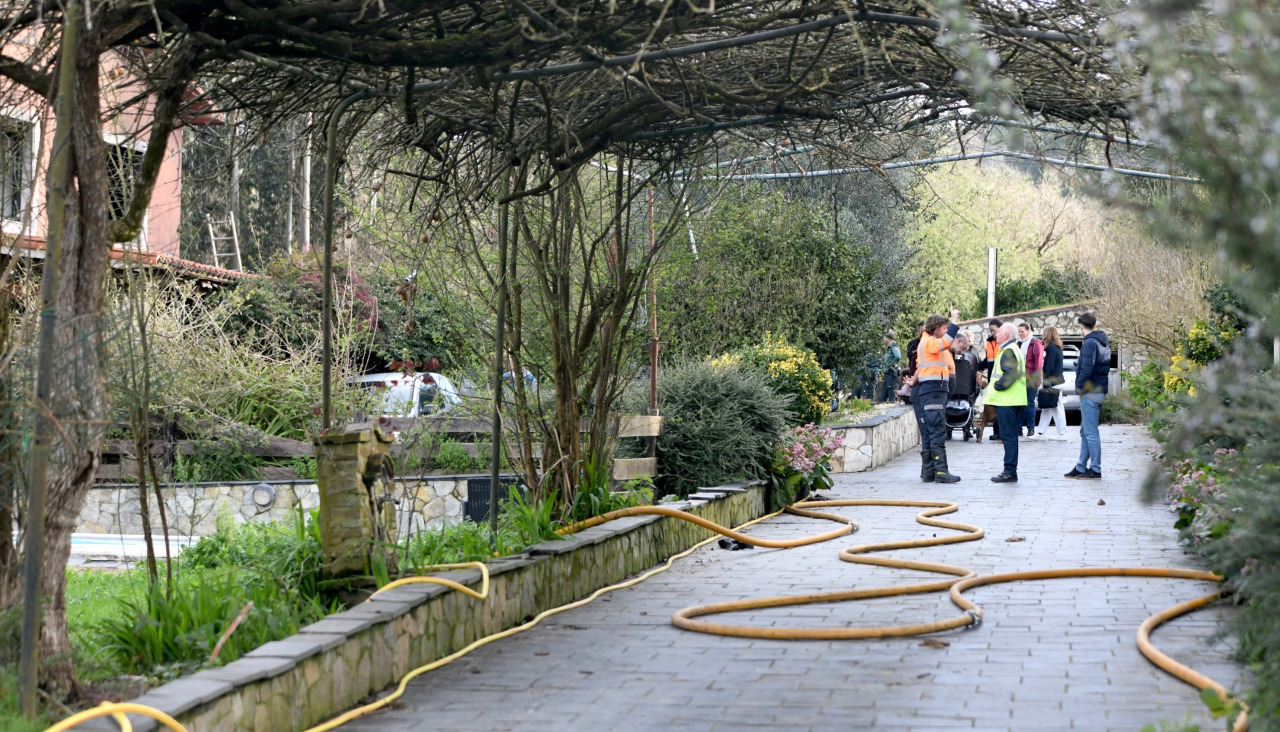 Incendio en Bergondo @ Mónica Arcay (4)