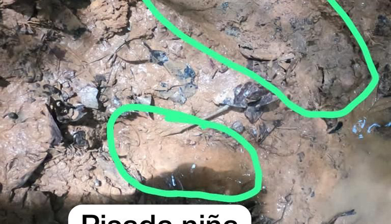 Fotografu00eda cedida por las Fuerzas Militares de Colombia y modificada en la que se ven dos huellas, una perteneciente a la niu00f1a desaparecida y otra de un militar, en la selva del Guaviare @efe