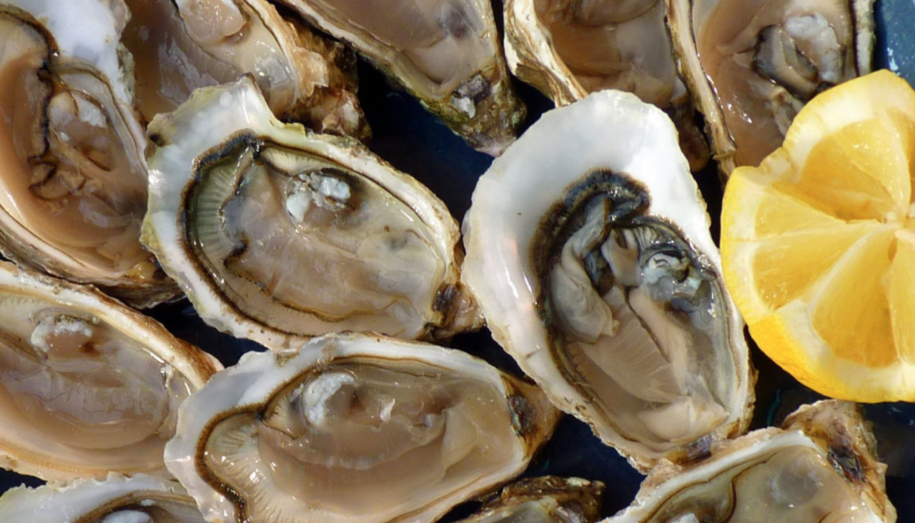 Ostras frescas, un manjar directo del mar