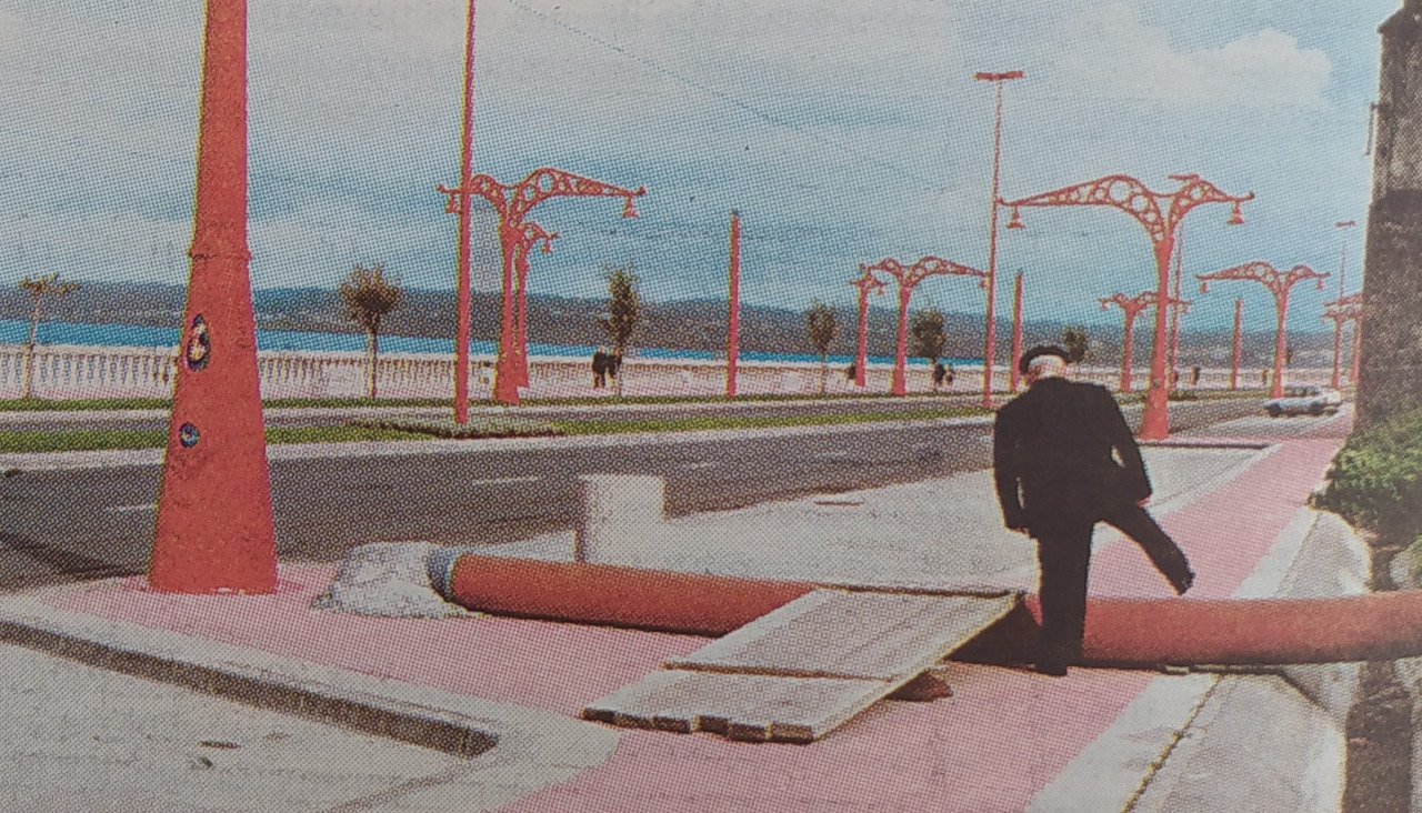 Tuberu00eda san amaro 1999