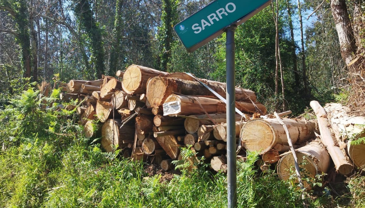 Madera robada en Oleiros (3)