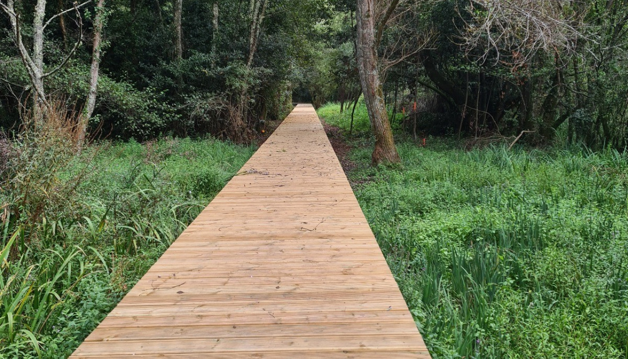Sendero Azul, Miu00f1o 4