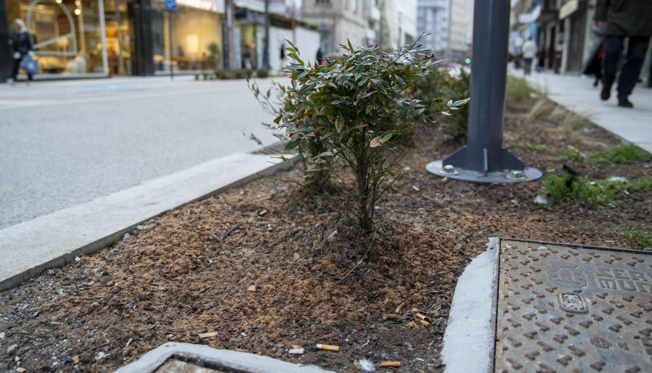 Colillas en San Andru00e9s 5