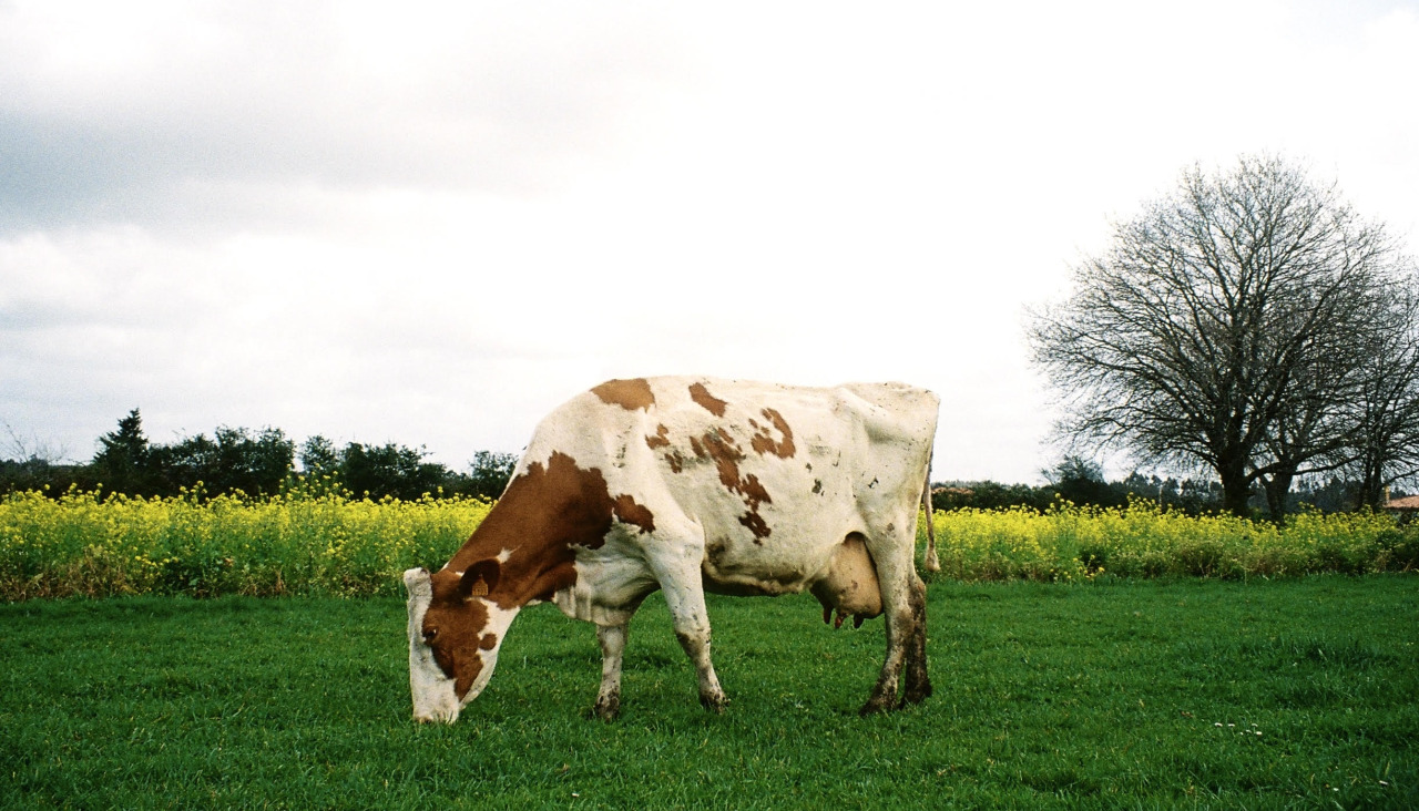 UXIA Localizaciones1