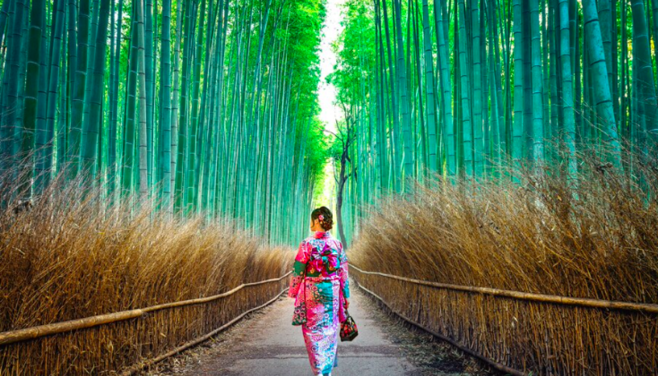 Captura de pantalla 2025 05 07 a las 12.13.49