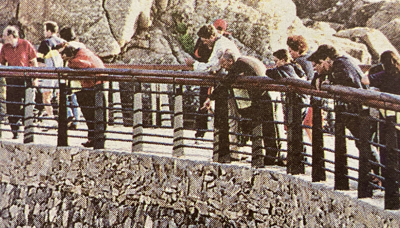 Casa de los Peces 1999