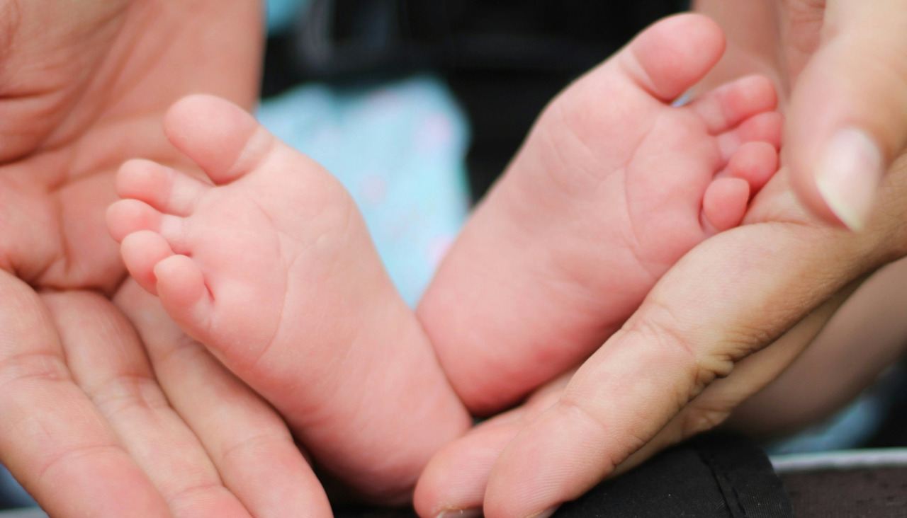 Bonnie kittle f7bKsvOgwU unsplash