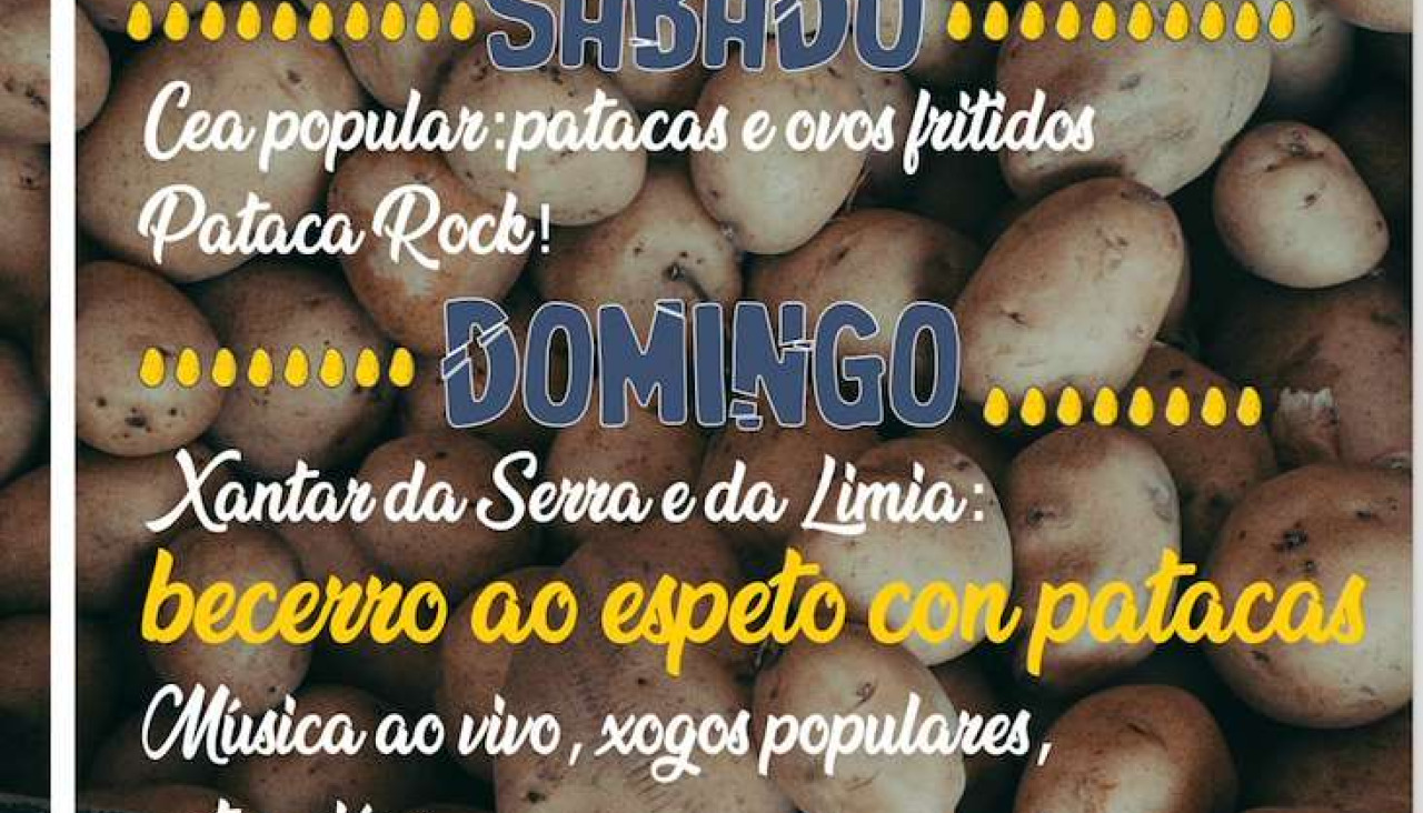 XLV Festa da Pataca en Vilar de Barrio