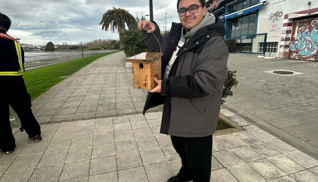 Colocaciu00f3n de Casas nido en Cambre (2)