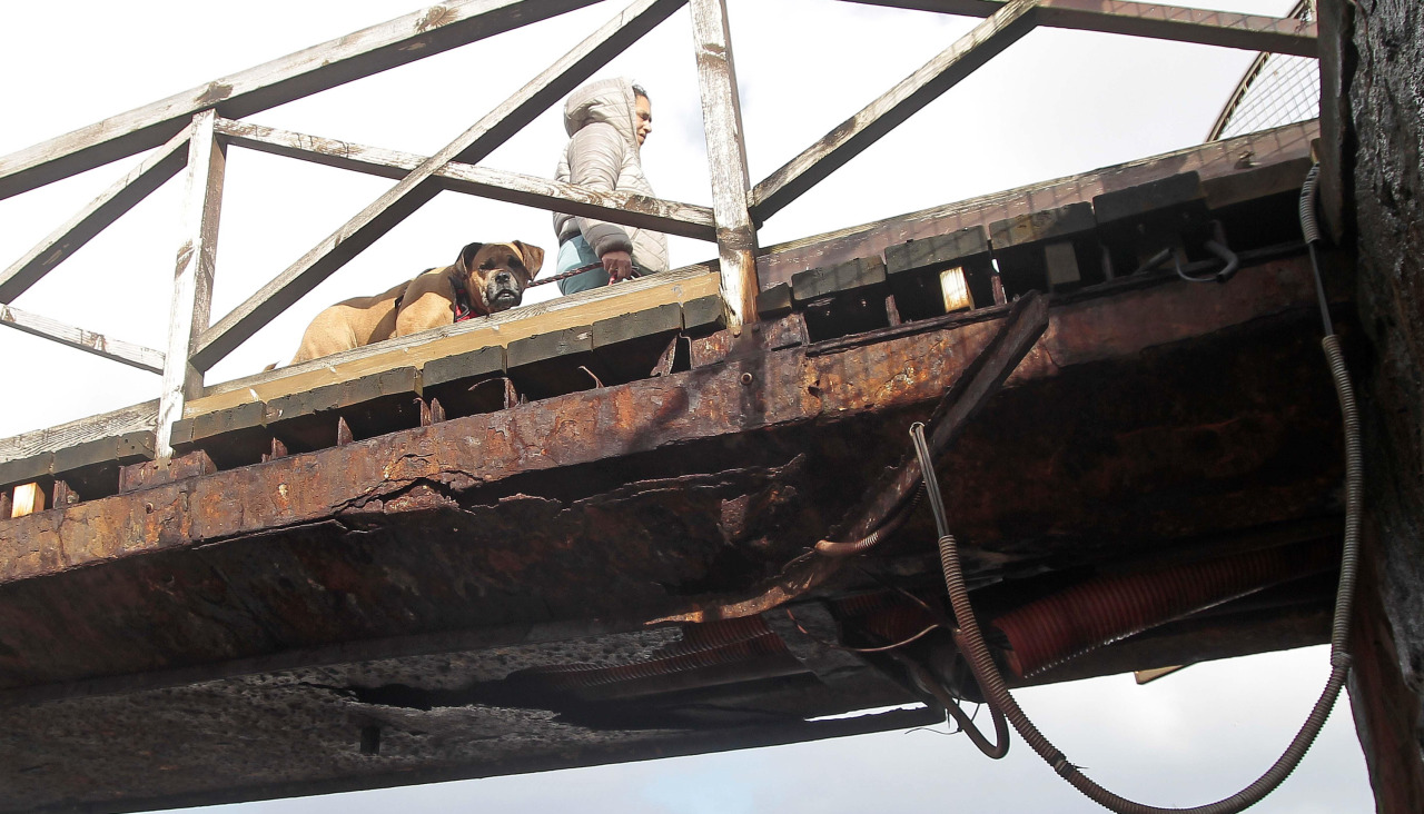 Pasarela (5) 16042465