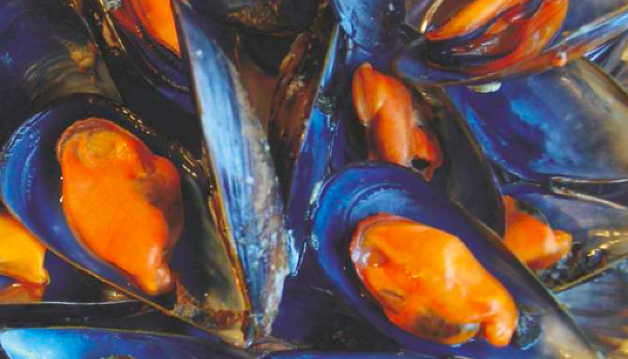 XXXI Festa do Mexillu00f3n en Illa de Arousa 