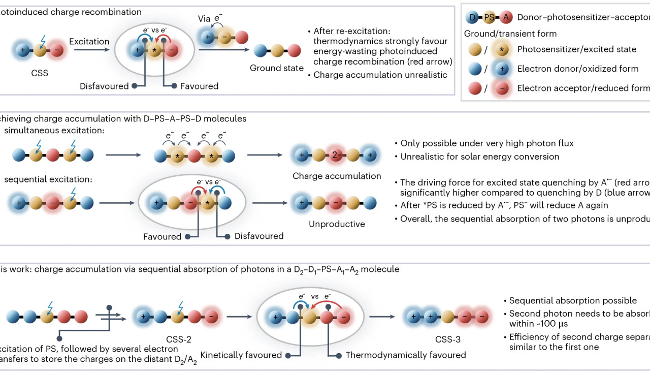 41557 2025 1912 Fig1 HTML