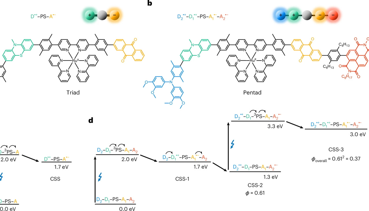 41557 2025 1912 Fig2 HTML