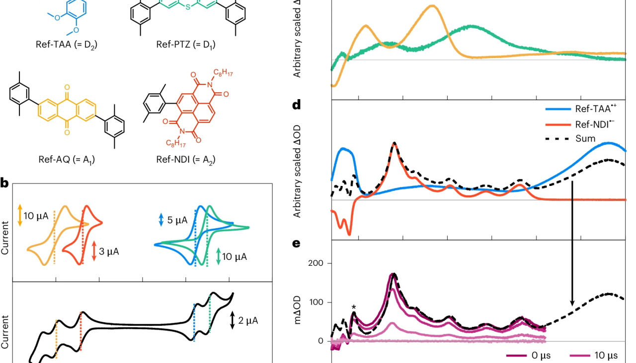 41557 2025 1912 Fig3 HTML