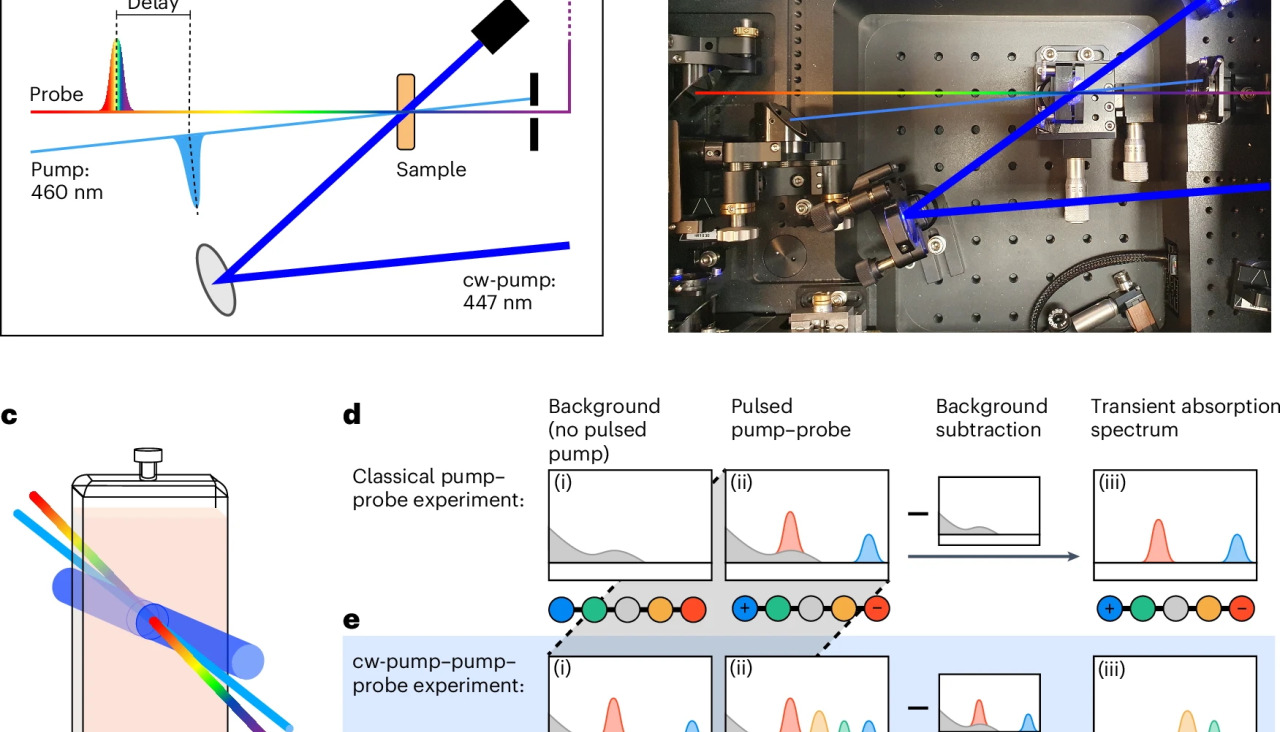 41557 2025 1912 Fig4 HTML